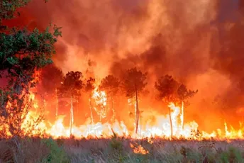 Sardinija: Zbog požara evakuisano 600 ljudi Sardinija: Zbog požara evakuisano 600 ljudi