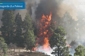 (VIDEO) Na ostrvu La Palma izgorjelo više od 2.000 hektara šume (VIDEO) Na ostrvu La Palma izgorjelo više od 2.000 hektara šume
