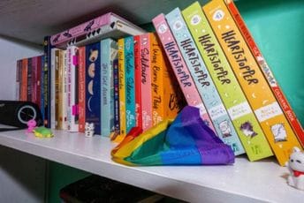 Mađarska kaznila knjižaru sa 32.000 eura zbog isticanja LGBT knjige Mađarska kaznila knjižaru sa 32.000 eura zbog isticanja LGBT knjige