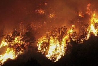 U Grčkoj zbog požara evakuisano 1.200 djece iz kampova za odmor U Grčkoj zbog požara evakuisano 1.200 djece iz kampova za odmor