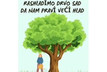 Zelenilo: Rashladimo drvo sad da nam pravi veći hlad Zelenilo: Rashladimo drvo sad da nam pravi veći hlad