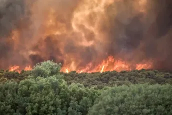 Vatra guta i objekte: EU šalje avione u Grčku Vatra guta i objekte: EU šalje avione u Grčku
