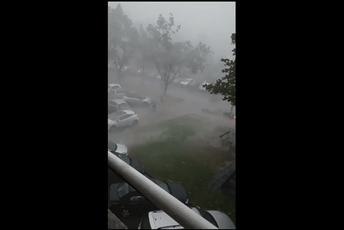 (VIDEO) Zbog oluje ostala zakovana uz saobraćajni znak, prolaznici je spasili (VIDEO) Zbog oluje ostala zakovana uz saobraćajni znak, prolaznici je spasili