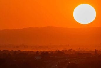 Zbog ovoga ljudi umiru tokom aktuelnog tropskog talasa Zbog ovoga ljudi umiru tokom aktuelnog tropskog talasa