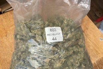 Pronađeno i oduzeto pola kilograma marihuane u Tivtu: Uhapšen osumnjičeni Pronađeno i oduzeto pola kilograma marihuane u Tivtu: Uhapšen osumnjičeni