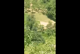 (VIDEO) Zmija duga nekoliko metara snimljena na dalekovodu u BiH (VIDEO) Zmija duga nekoliko metara snimljena na dalekovodu u BiH