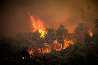 Bukti šumski požar na grčkom ostrvu Hiosu: Evakuisano stanovništvo iz više mjesta