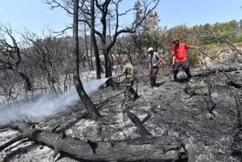 Šumski požari u Alžiru – 25 ljudi poginulo, među njima i 10 vojnika Šumski požari u Alžiru – 25 ljudi poginulo, među njima i 10 vojnika