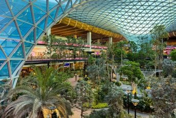 Crna Gora prvi put sudjeluje u evropskoj kampanji o zdravlju bilja, evo koji su rizici Crna Gora prvi put sudjeluje u evropskoj kampanji o zdravlju bilja, evo koji su rizici