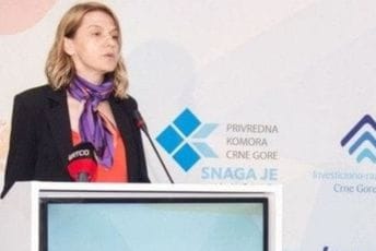 Drakić:  Ako misli da sačuva turizam, Vlada mora preispitati trenutne fiskalne mjere