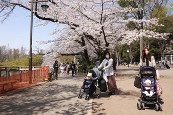 Japan: Broj stanovnika se smanjio za čak 800.000 ljudi Japan: Broj stanovnika se smanjio za čak 800.000 ljudi