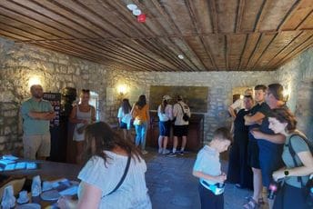 Završena Ljetnja škola crnogorskog jezika i kulture: Učestvovalo 11 polaznika iz sedam država Završena Ljetnja škola crnogorskog jezika i kulture: Učestvovalo 11 polaznika iz sedam država