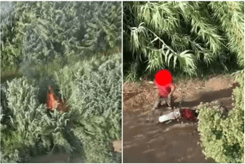 Policijski dron u Italiji snimio piromana, on ga pokušao oboriti kamenom Policijski dron u Italiji snimio piromana, on ga pokušao oboriti kamenom