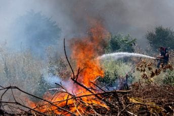 Bukti požar u Sjevernoj Makedoniji: Vjetar otežava gašenje Bukti požar u Sjevernoj Makedoniji: Vjetar otežava gašenje
