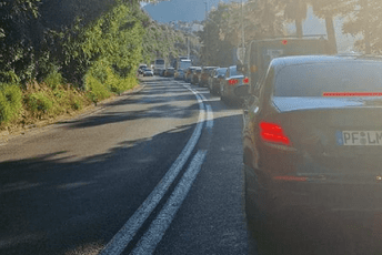 Do trajekta jutros kilometarske kolone Do trajekta jutros kilometarske kolone