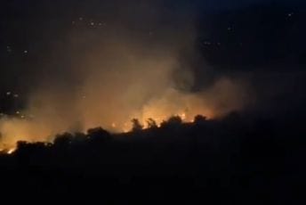 Janković: Odbranili smo kuće, požar iznad Doljana pod kontrolom Janković: Odbranili smo kuće, požar iznad Doljana pod kontrolom