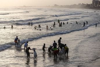 Okean dostigao najvišu temperaturu u istoriji: Strašne posljedice po funkcionalnost planete Okean dostigao najvišu temperaturu u istoriji: Strašne posljedice po funkcionalnost planete