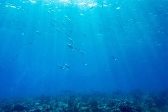 Oboren rekord: Svjetski okeani nikad topliji, a temperatura bi mogla još rasti Oboren rekord: Svjetski okeani nikad topliji, a temperatura bi mogla još rasti