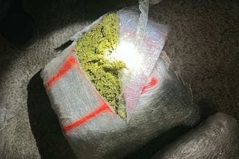 Spriječeno krijumčarenje skanka, uhapšen državljanin Srbije Spriječeno krijumčarenje skanka, uhapšen državljanin Srbije