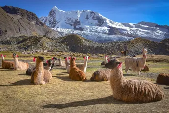 Kod njih bi trebalo da je vrhunac zime: Izmjerena temperatura od 37 stepeni, snijeg se ubrzano topi Kod njih bi trebalo da je vrhunac zime: Izmjerena temperatura od 37 stepeni, snijeg se ubrzano topi