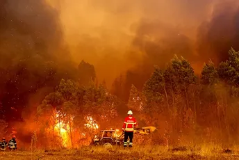 Požar gasi 800 vatrogasaca, evakuisano 1,4 hiljade ljudi Požar gasi 800 vatrogasaca, evakuisano 1,4 hiljade ljudi