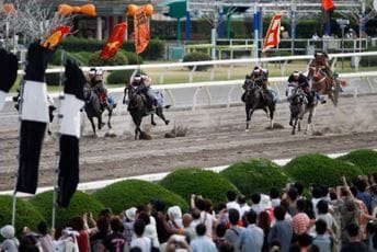 Japan: Okupljanje samuraja pošlo po zlu – više od 100 konja dobilo sunčanicu Japan: Okupljanje samuraja pošlo po zlu – više od 100 konja dobilo sunčanicu