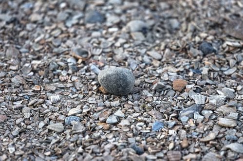 Podgoričaninu krivična prijava: Neovlašteno eksploatisao šljunak u Grbavcima