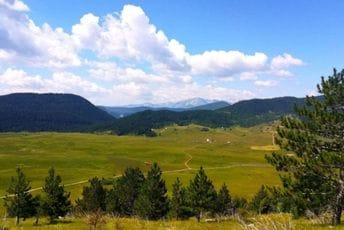 Stočari sa Kosanice negoduju: Solarni paneli u Bitinskom polju smanjili bi i stada i oranice Stočari sa Kosanice negoduju: Solarni paneli u Bitinskom polju smanjili bi i stada i oranice