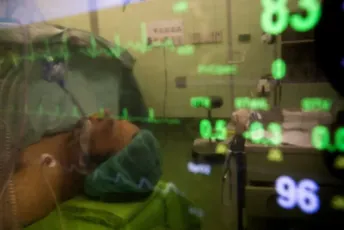 Klinički mrtvom Amerikancu presađen bubreg svinje, organ funkcioniše 32. dan nakon operacije Klinički mrtvom Amerikancu presađen bubreg svinje, organ funkcioniše 32. dan nakon operacije