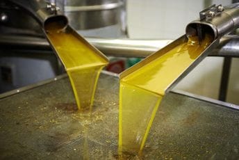 Europol: Zaplijenjeno 260.000 litara lažnog maslinovog ulja, razređivali ga sa nejestivim Europol: Zaplijenjeno 260.000 litara lažnog maslinovog ulja, razređivali ga sa nejestivim