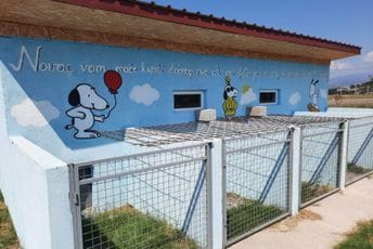 "Udomi, ne kupuj": Sklonište za napuštene kućne ljubimce u subotu otvoreno za posjete u još jednom terminu "Udomi, ne kupuj": Sklonište za napuštene kućne ljubimce u subotu otvoreno za posjete u još jednom terminu