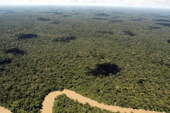 Ekvador na istorijskom referendumu odlučuje o vađenju nafte u Amazonu Ekvador na istorijskom referendumu odlučuje o vađenju nafte u Amazonu