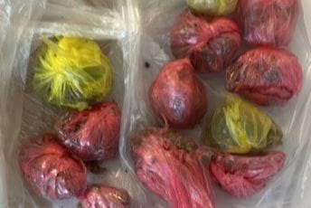 Uhapšen maloljetnik u Podgorici: Policija kod njega pronašla 13 pakovanja marihuane Uhapšen maloljetnik u Podgorici: Policija kod njega pronašla 13 pakovanja marihuane