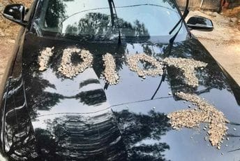 Dalmacija: Bahatog vozača BMW-a, koji je zagradio prolaz, dočekala neobična "kazna" Dalmacija: Bahatog vozača BMW-a, koji je zagradio prolaz, dočekala neobična "kazna"