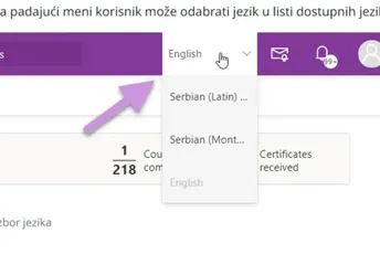 Iz Ministarstva prosvjete kažu da na platformi Digitalna škola nije bilo namjerne selekcije: "Apdejt" automatski izbrisao crnogorski jezik