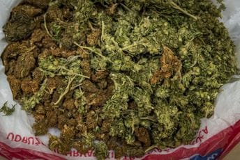 U Kavačima: Policija oduzela skoro 50 grama marihuane Ilustracija