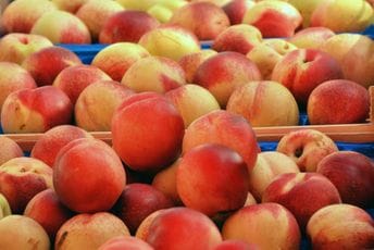 Spriječen uvoz voća sa opasnim pesticidom iz Srbije Spriječen uvoz voća sa opasnim pesticidom iz Srbije