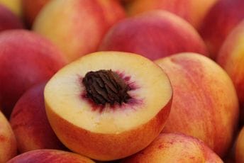 Uprava za bezbjednost hrane: Opasnog pesticida nema u hrani na crnogorskom tržištu Uprava za bezbjednost hrane: Opasnog pesticida nema u hrani na crnogorskom tržištu