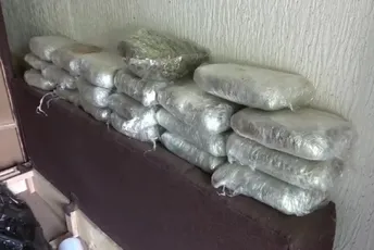 Srbija: Pritvor do 30 dana trojici državljana Crne Gore uhapšenima zbog marihuane Srbija: Pritvor do 30 dana trojici državljana Crne Gore uhapšenima zbog marihuane