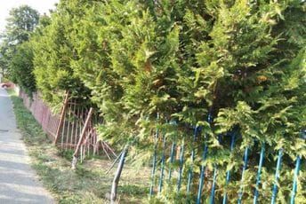 Saobraćajna nezgoda u Bijelom Polju: Autom probio ogradu škole Saobraćajna nezgoda u Bijelom Polju: Autom probio ogradu škole