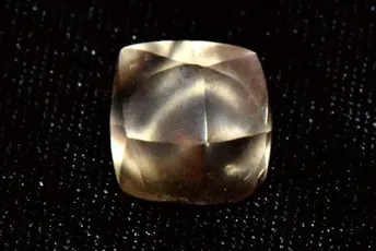 Sedmogodišnjakinja otkrila dijamant od 2,95 karata tokom rođendanske posjete parku Sedmogodišnjakinja otkrila dijamant od 2,95 karata tokom rođendanske posjete parku