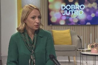 Nenezić: Tunel simbol urušavanja sistem, brzom reakcijom zaštititi integritet države Nenezić: Tunel simbol urušavanja sistem, brzom reakcijom zaštititi integritet države