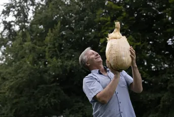 Podvig je bio izvaditi je iz zemlje: Ovo je najveća glavica luka u istoriji