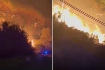 Šumski požari na Siciliji: Dvije osobe poginule, više od 700 turista evakuisano