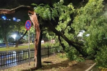 Olujni vjetar obarao stabla u Podgorici i na primorju