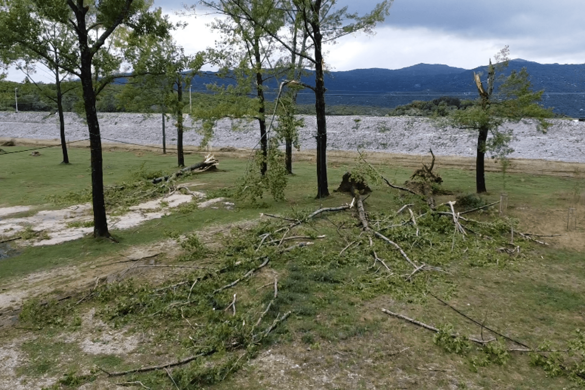 Fotografija 2: Nikšić: U park šumi Topola vjetar čupao drveće iz korijena