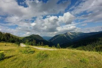 Otrov prosut po Čakoru, uginuli lovački psi i divlje životinje