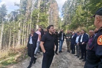 Pored policije i inspekcije zadužili ANB da popisuje šumokradice Pored policije i inspekcije zadužili ANB da popisuje šumokradice