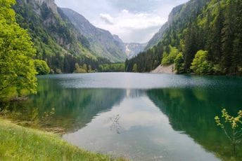 NP Biogradska gora od sjutra ponovo otvoren za posjetioce
