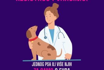Udruženje Korina: Počinje besplatna registracija i vakcinacija pasa u Nikšiću, vlasnici da se prijave Udruženje Korina: Počinje besplatna registracija i vakcinacija pasa u Nikšiću, vlasnici da se prijave